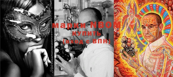 метадон Няндома