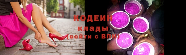 метадон Няндома