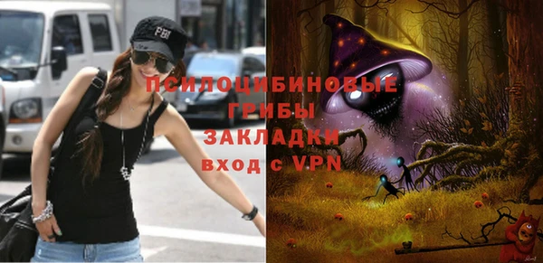 метадон Няндома