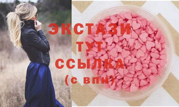 индика Гатчина