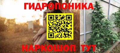 Альфа ПВП Лесосибирск