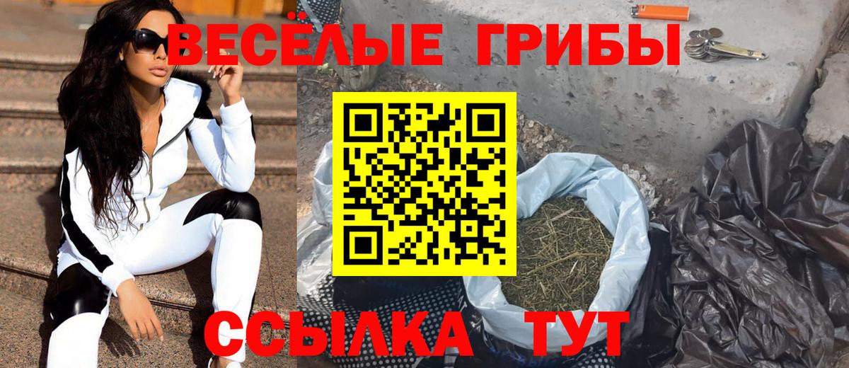 Отрадное  купить наркотики сайты  Вход с VPN  Псилоцибиновые грибы GOLDEN TEACHER 